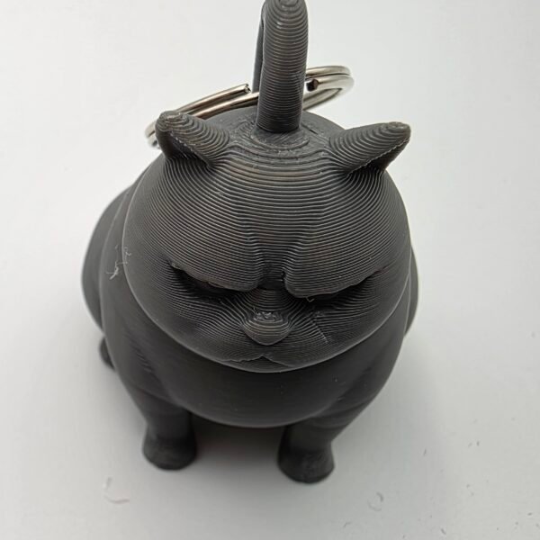 Grumpy Cat Keyring