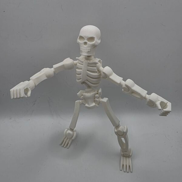 Articulated Skeleton Figure